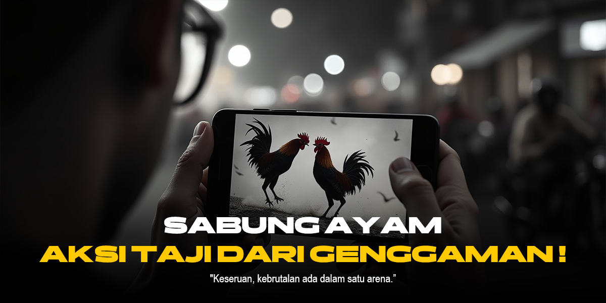 Mendalami Jenis Ayam Aduan dan Odds di SV388